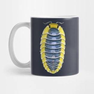 Cubaris sp. "Lemon Blue" Isopod Mug